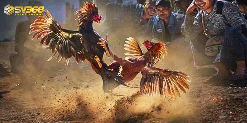 an toan uy tin toi tu thuong hieu sv368