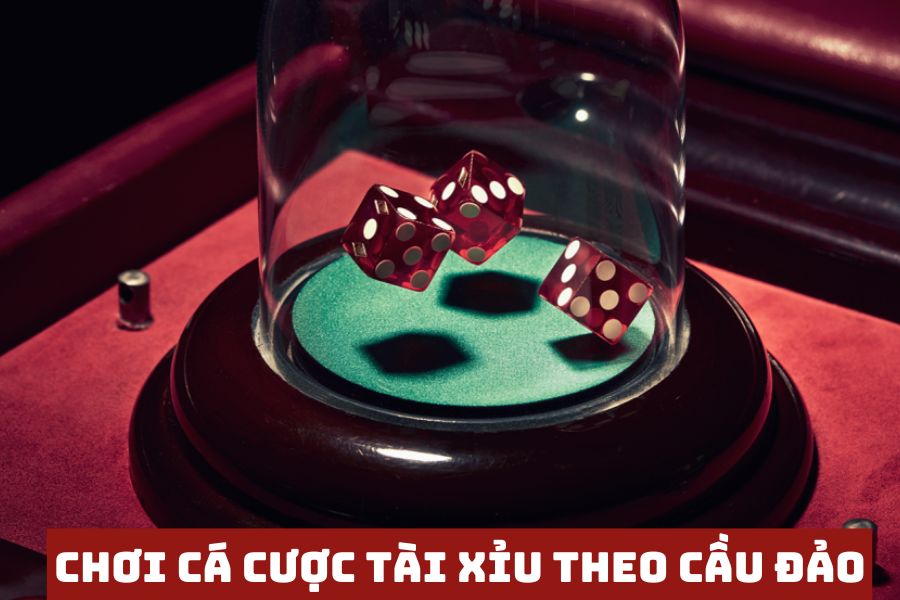 phuong phap dat cuoc cau dao tai xiu hieu qua