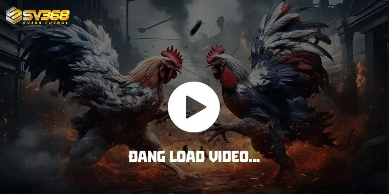 quy trinh dien ra tran da ga thomo tai sv368